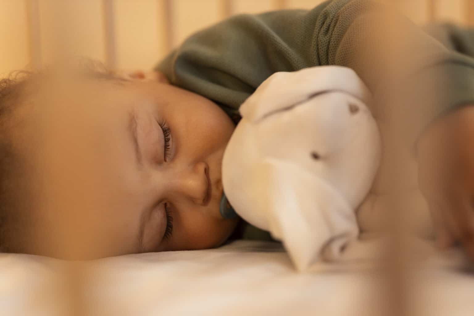 Le Sommeil du Bébé : Comprendre et Accompagner - Micro-crèche Le Dodo